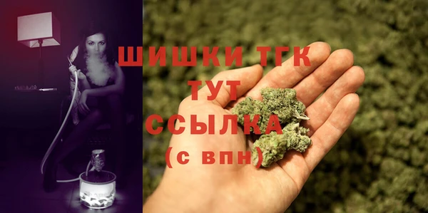 spice Аркадак