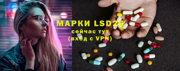 spice Аркадак