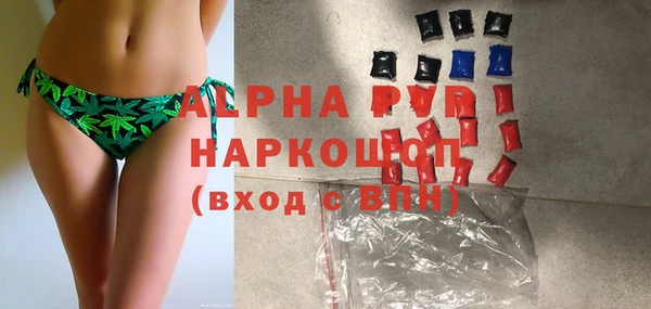 spice Аркадак