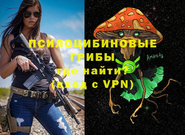 spice Аркадак